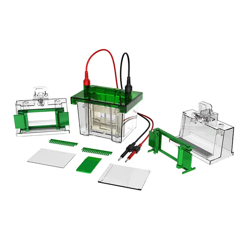 Cuba para electroforesis vertical BK-VET01